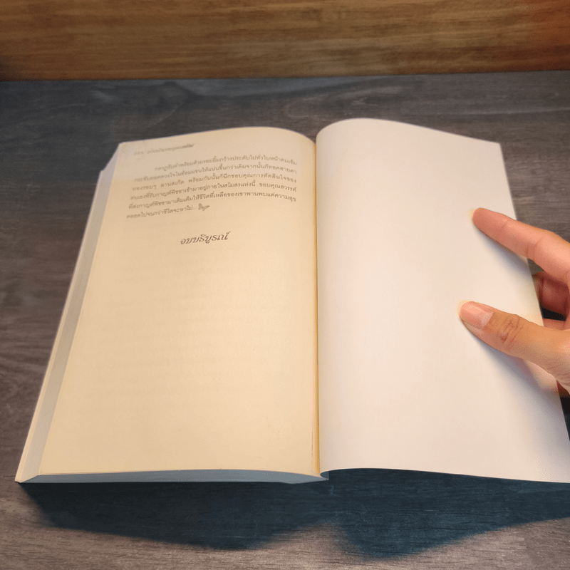 บ่วงรักเทพบุตรทมิฬ - ไอริส