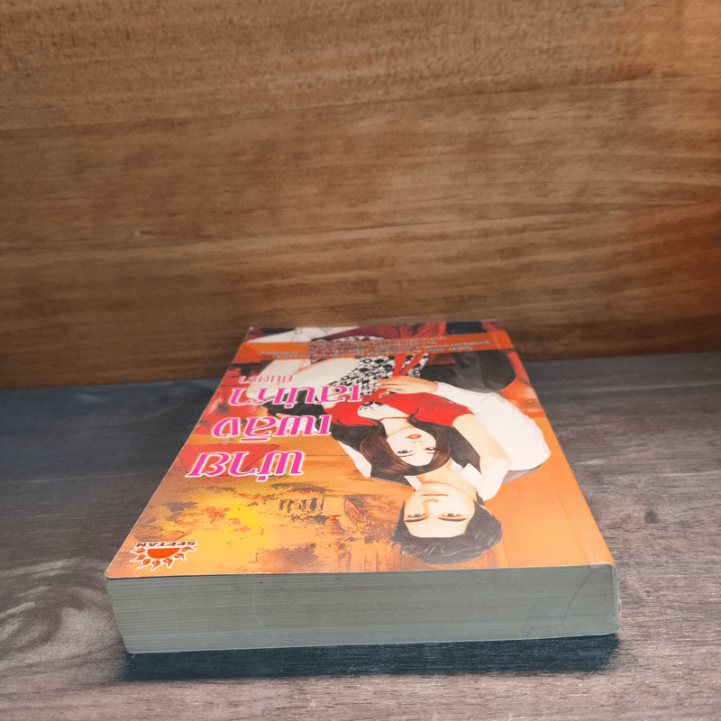 พ่ายเพลิงเสน่หา - มินตรา