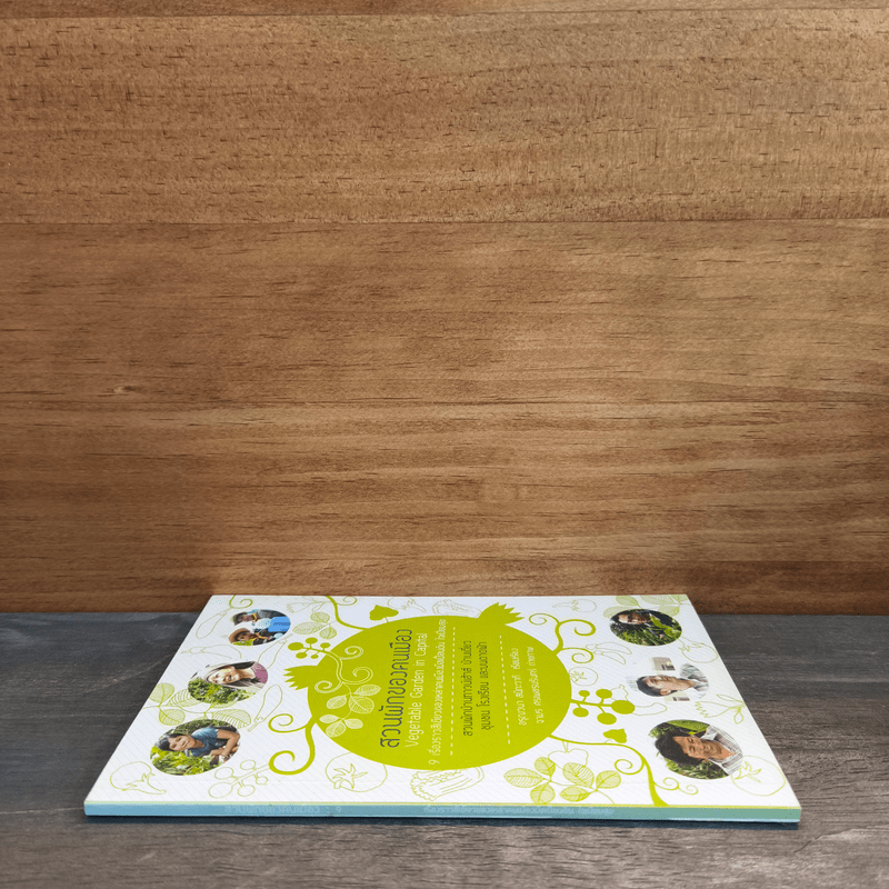 สวนผักของคนเมือง สวนผักบ้านทาวน์เฮ้าท์ บ้านเดี่ยว ชุมชน โรงเรียน และบนดาดฟ้า