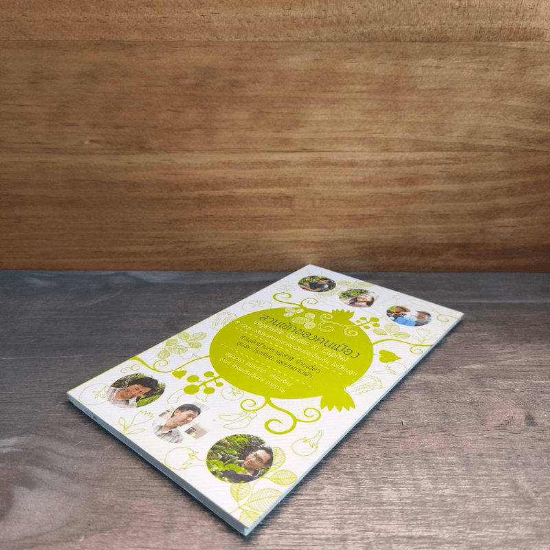 สวนผักของคนเมือง สวนผักบ้านทาวน์เฮ้าท์ บ้านเดี่ยว ชุมชน โรงเรียน และบนดาดฟ้า