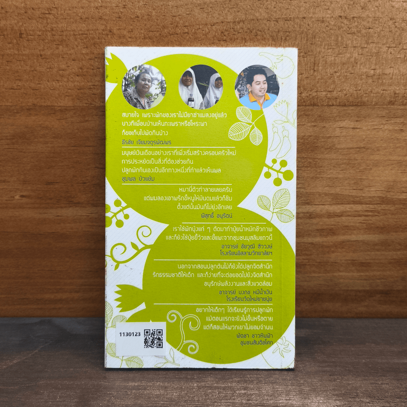 สวนผักของคนเมือง สวนผักบ้านทาวน์เฮ้าท์ บ้านเดี่ยว ชุมชน โรงเรียน และบนดาดฟ้า