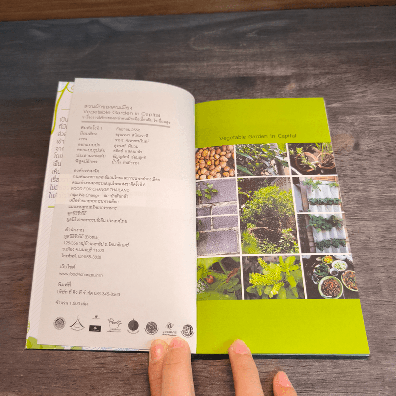 สวนผักของคนเมือง สวนผักบ้านทาวน์เฮ้าท์ บ้านเดี่ยว ชุมชน โรงเรียน และบนดาดฟ้า