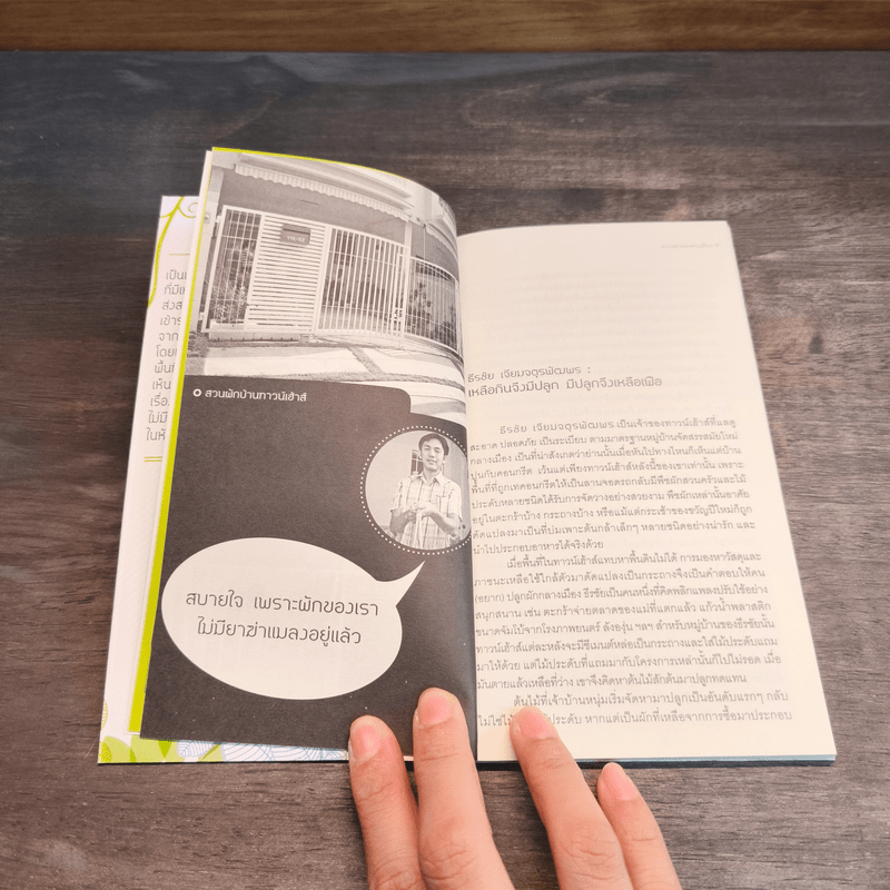 สวนผักของคนเมือง สวนผักบ้านทาวน์เฮ้าท์ บ้านเดี่ยว ชุมชน โรงเรียน และบนดาดฟ้า