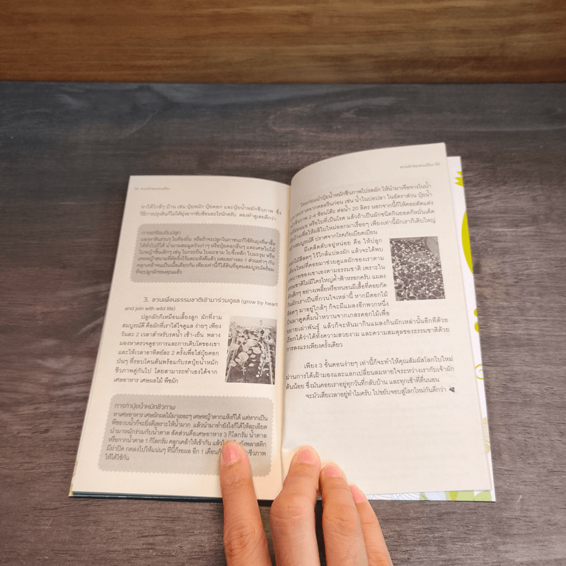 สวนผักของคนเมือง สวนผักบ้านทาวน์เฮ้าท์ บ้านเดี่ยว ชุมชน โรงเรียน และบนดาดฟ้า