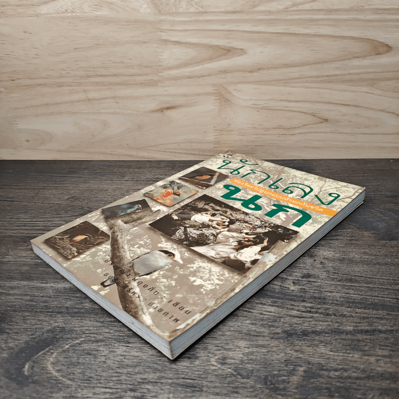 นักเลงนก ท่องไพรไปดูนกแบบหัวหกก้นขวิด