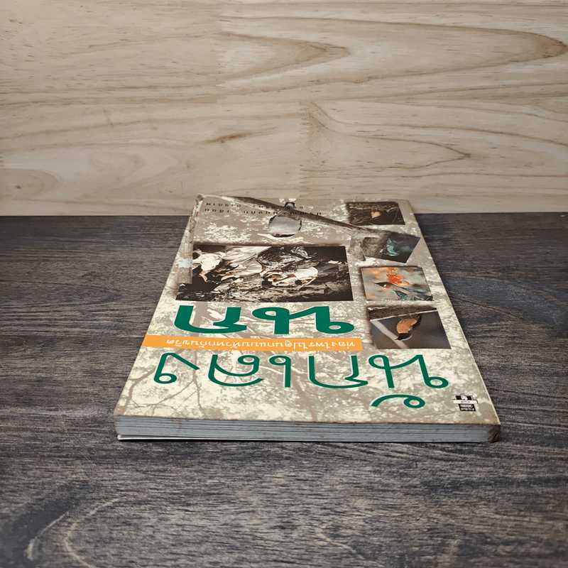 นักเลงนก ท่องไพรไปดูนกแบบหัวหกก้นขวิด