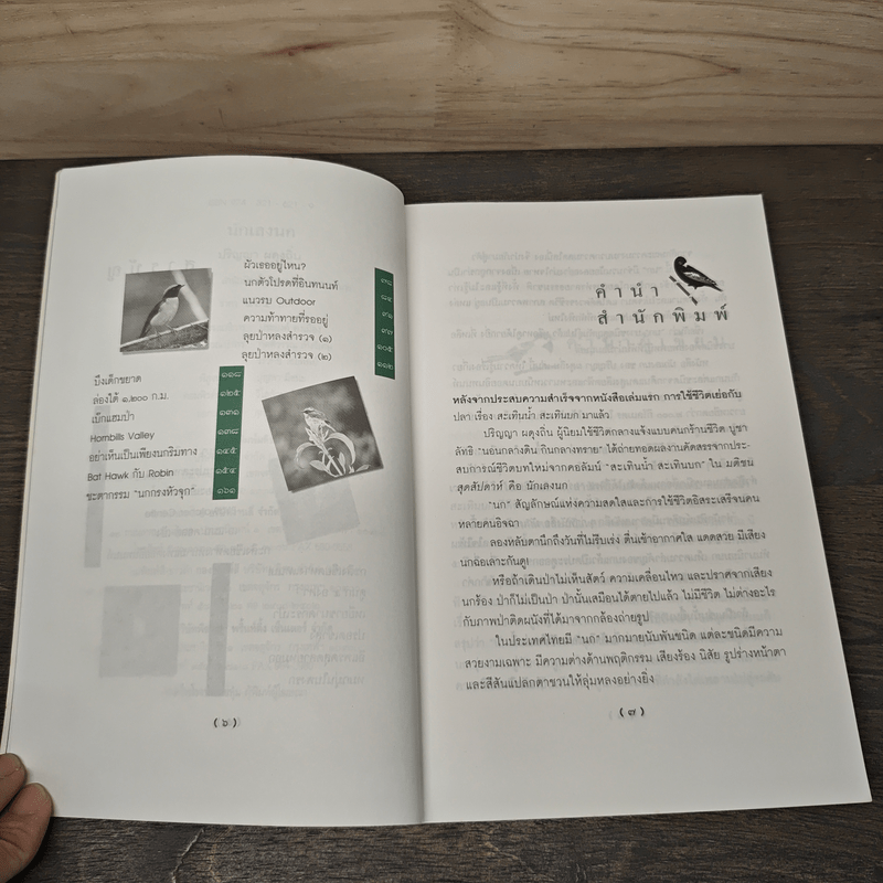 นักเลงนก ท่องไพรไปดูนกแบบหัวหกก้นขวิด