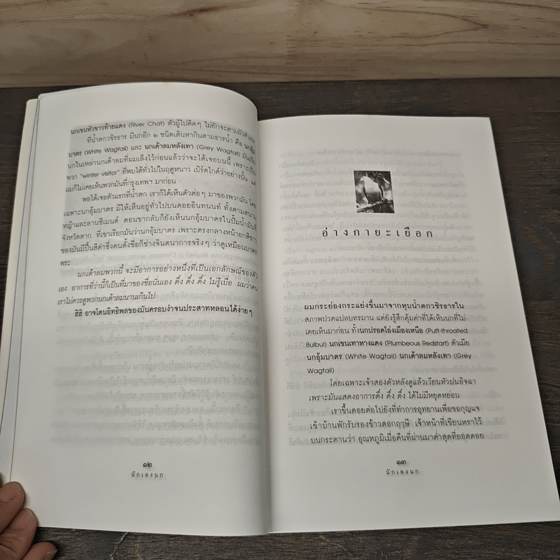 นักเลงนก ท่องไพรไปดูนกแบบหัวหกก้นขวิด