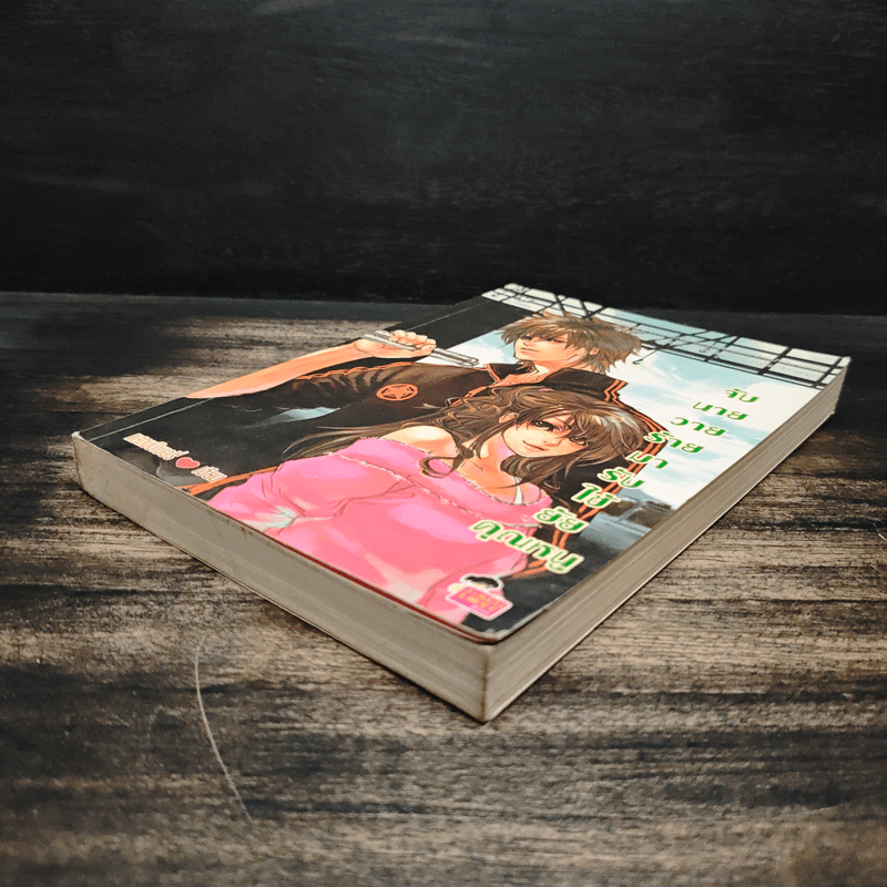 จับนายวายร้ายมารับใช้ยัยคุณหนู - แสตมป์เบอรี่