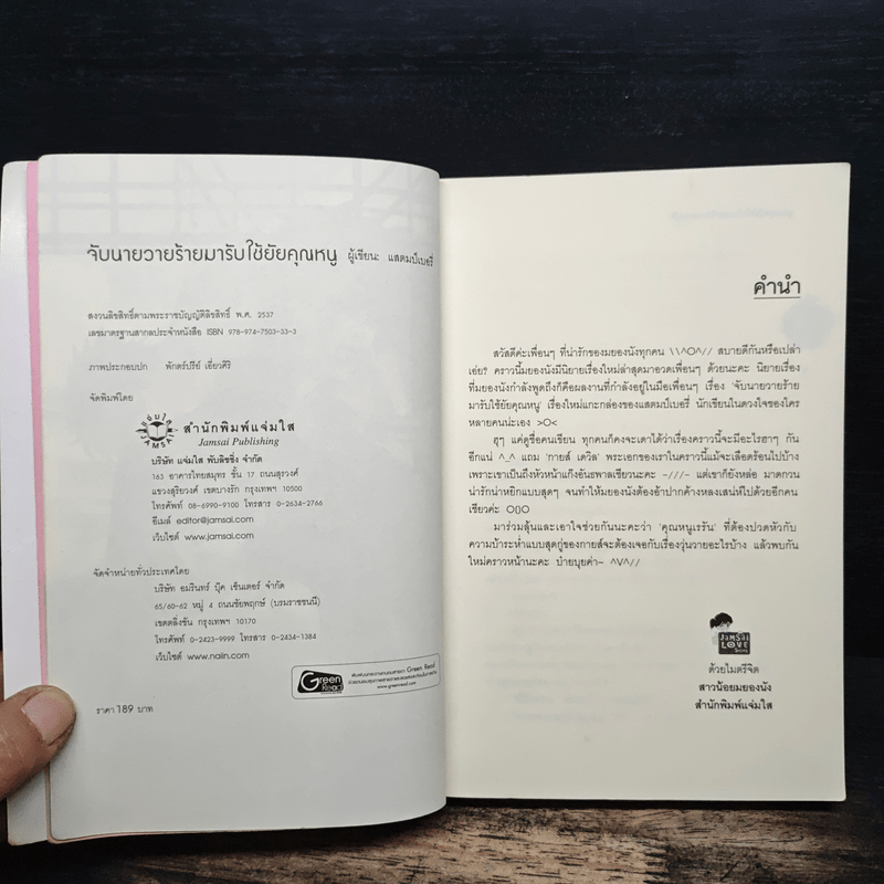 จับนายวายร้ายมารับใช้ยัยคุณหนู - แสตมป์เบอรี่