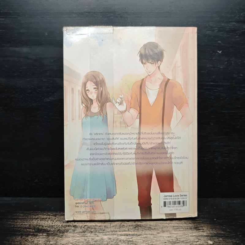 U-Prince Handsome Cowboy กำราบหัวใจจอมพยศ - Hideko_Sunshine