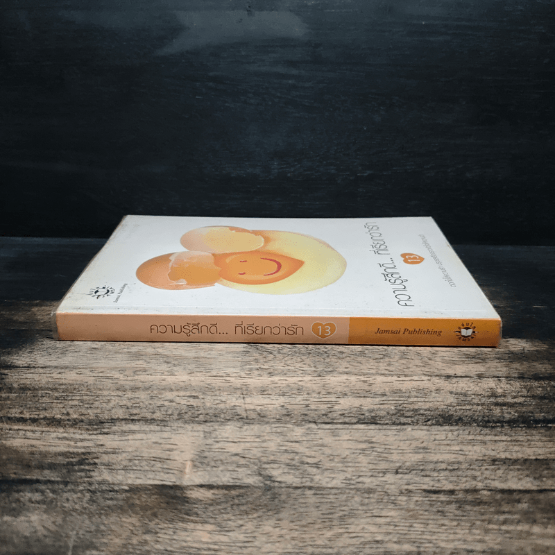 ความรู้สึกดี...ที่เรียกว่ารัก 13