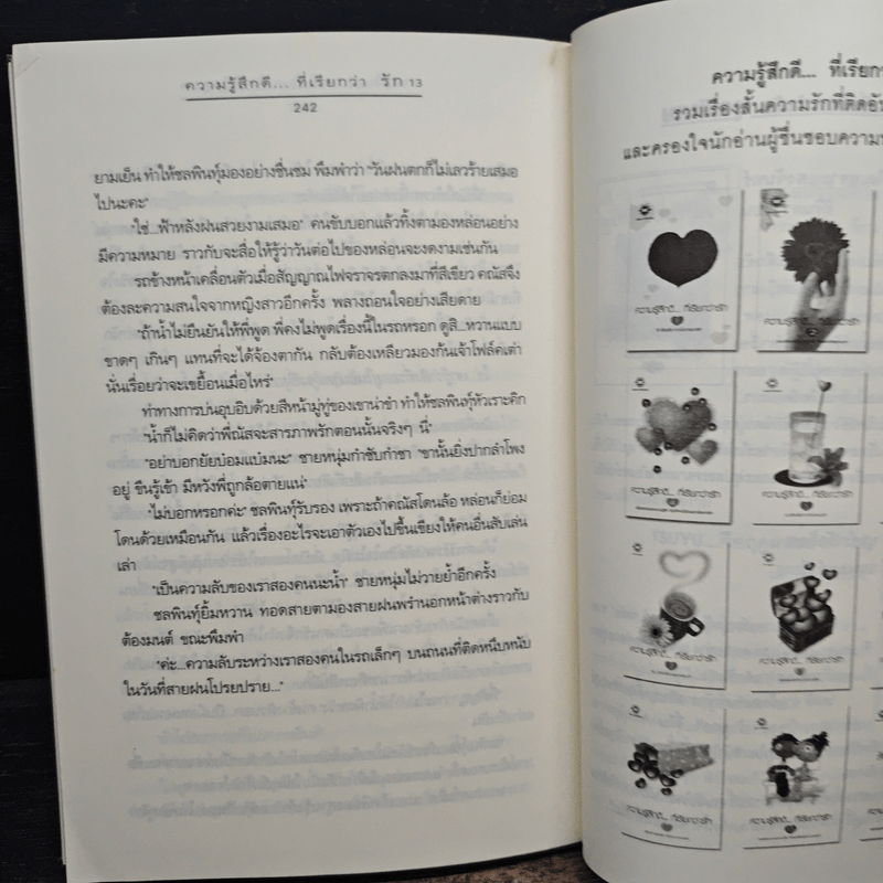 ความรู้สึกดี...ที่เรียกว่ารัก 13