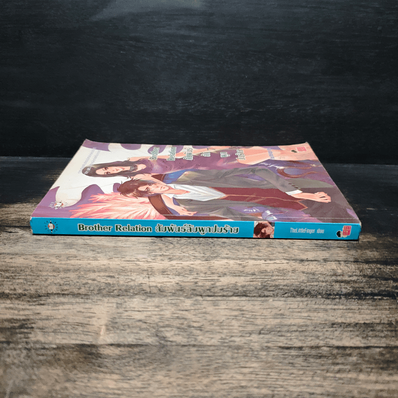 Brother Relation สัมพันธ์ลับผูกปมร้าย - TheLittleFinger