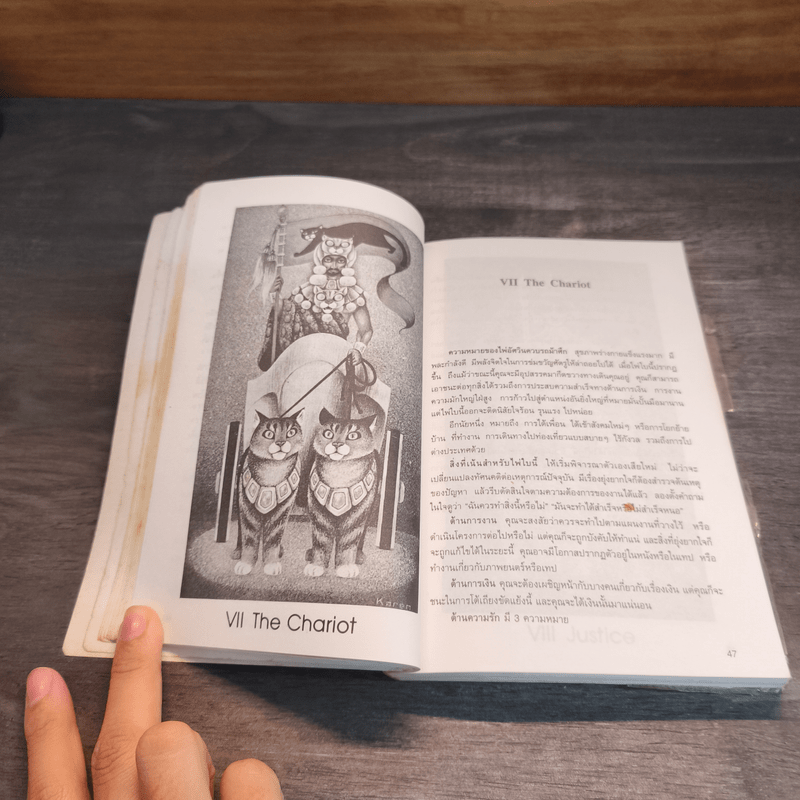 ไพ่ยิปซี กุญแจไขชีวิต - สังคม ฮอหรินทร์