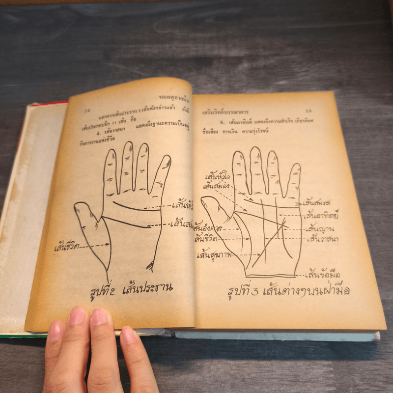 ตำราหมอดูลายมือ - ญาณเทพย์