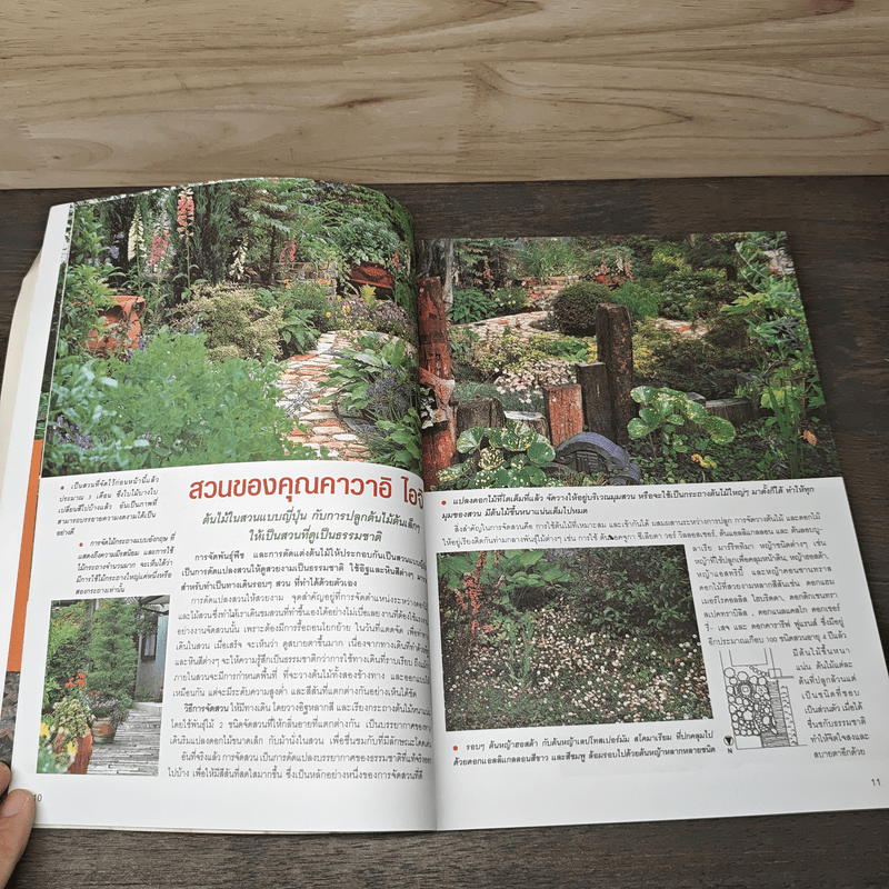 ไม้ดอกไม้ประดับ กับแนวคิดการจัดสวนด้วยตนเอง