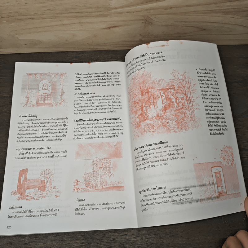 ไม้ดอกไม้ประดับ กับแนวคิดการจัดสวนด้วยตนเอง