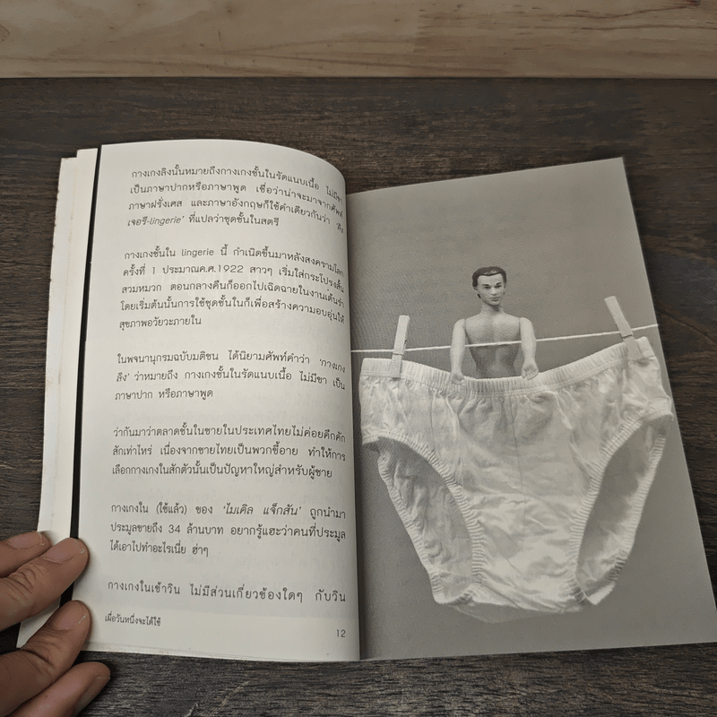 เผื่อ วันหนึ่งจะได้ใช้