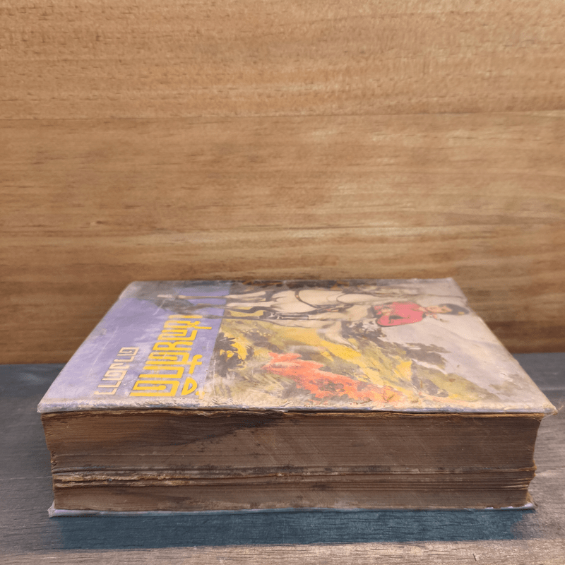 เชลยศักดิ์ - ดวงดาว