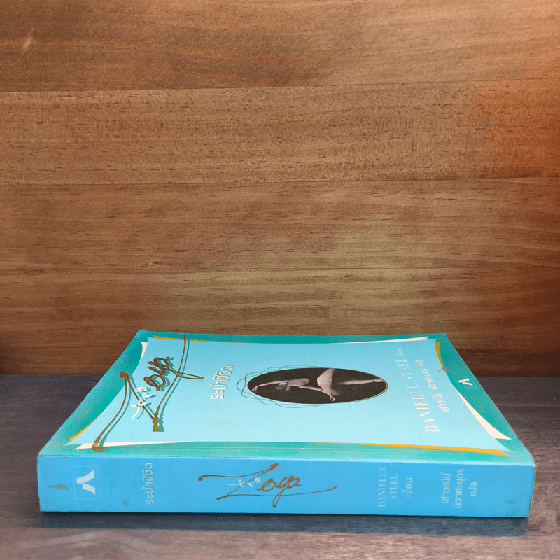 ระบำชีวิต - Danielle Steel