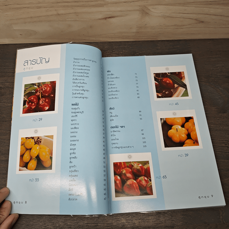 ลูกชุบ - อาจารย์อมราภรณ์ วงษ์ฟัก