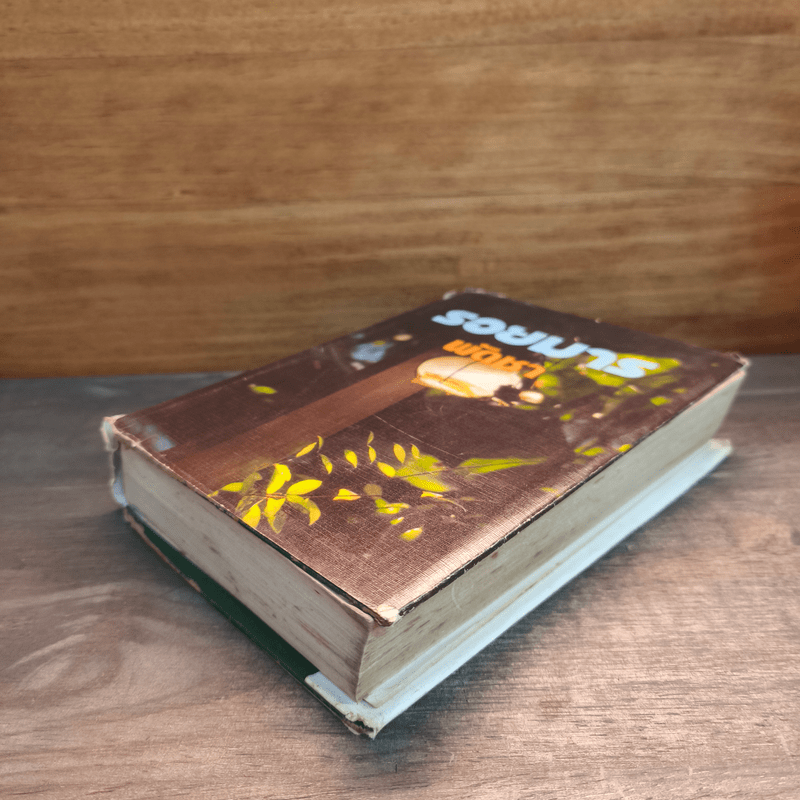 รอยมาร เล่ม 1 - พัดชา