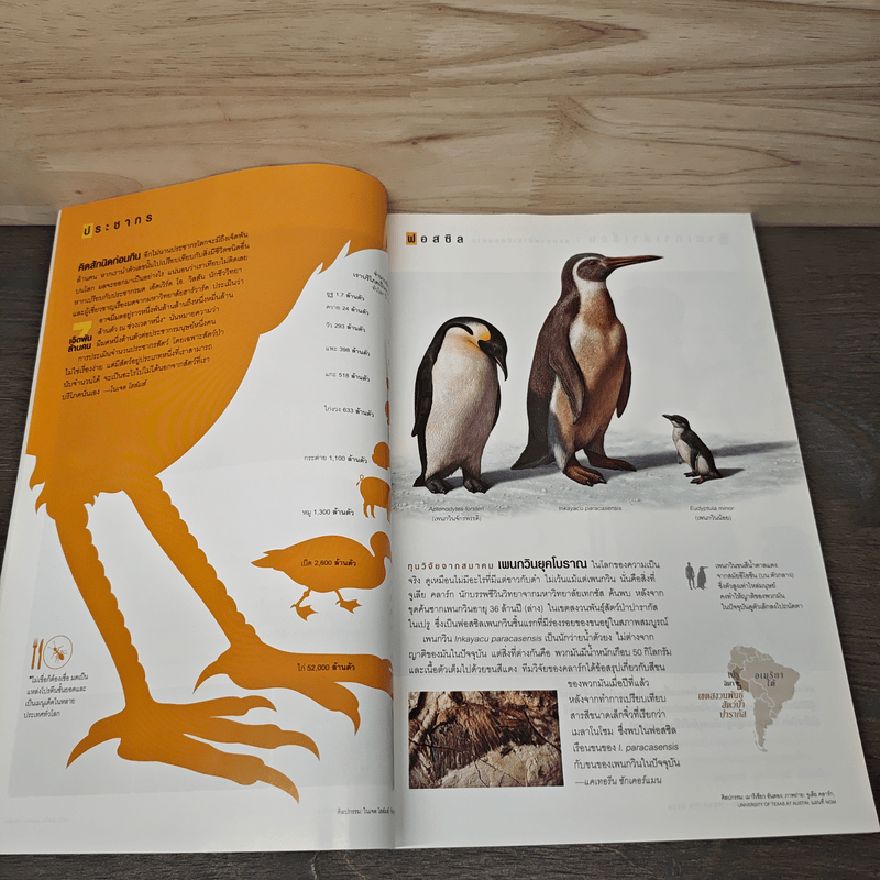 National Geographic ฉบับที่ 118 พ.ค.2554