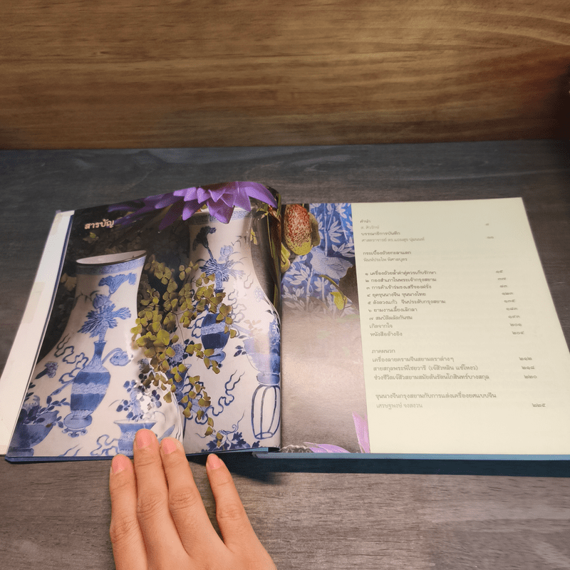 กระเบื้องถ้วยกะลาแตก: ชีวิตเบื้องหลังสมบัติผู้ดี - พิมพ์ประไพ พิศาลบุตร