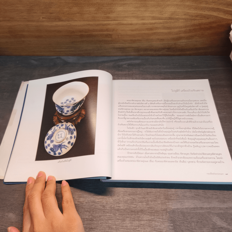 กระเบื้องถ้วยกะลาแตก: ชีวิตเบื้องหลังสมบัติผู้ดี - พิมพ์ประไพ พิศาลบุตร