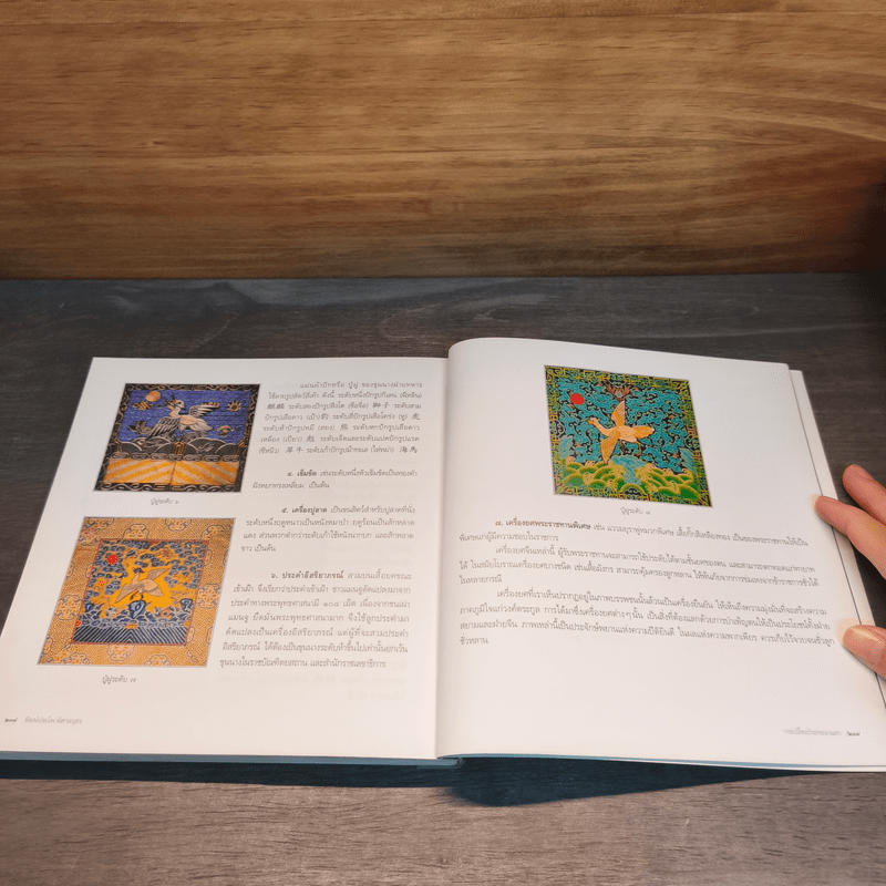 กระเบื้องถ้วยกะลาแตก: ชีวิตเบื้องหลังสมบัติผู้ดี - พิมพ์ประไพ พิศาลบุตร