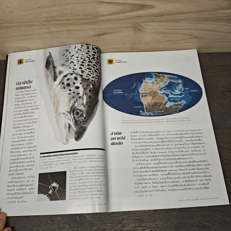 National Geographic ฉบับที่ 162 ม.ค.2558