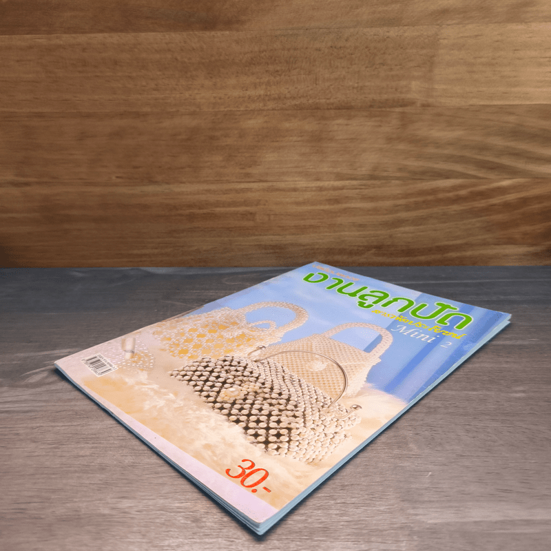 งานลูกปัด สารพัดประโยชน์ Mini 2