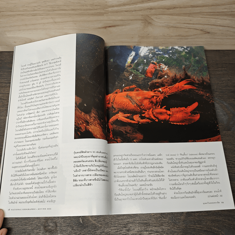 National Geographic ฉบับที่ 126 ม.ค. 2555 ผจญภัยใต้หุบผาเร้นลับ