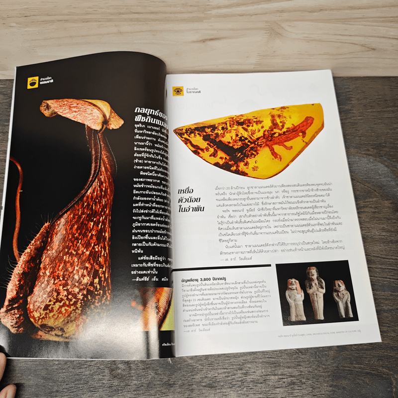 National Geographic ฉบับที่ 177 เม.ย.2559