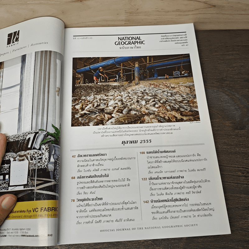 National Geographic ฉบับที่ 135 ต.ค.2555 งาเลือด สังเวยชีวิตช้าง