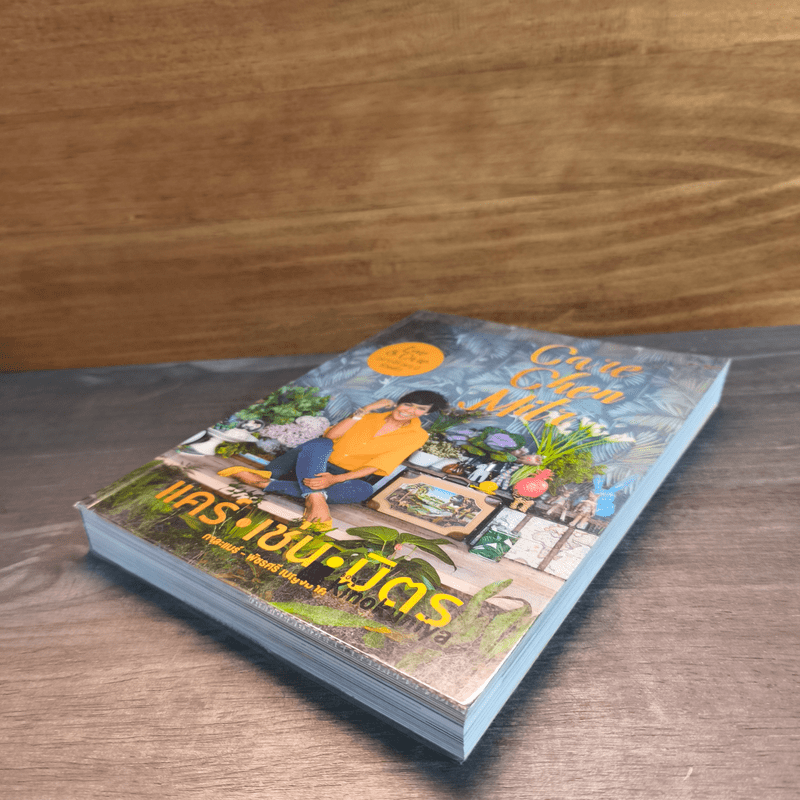 แคร์ เช่น มิตร : Care Chen Mitr - กาละแมร์ พัชรศรี