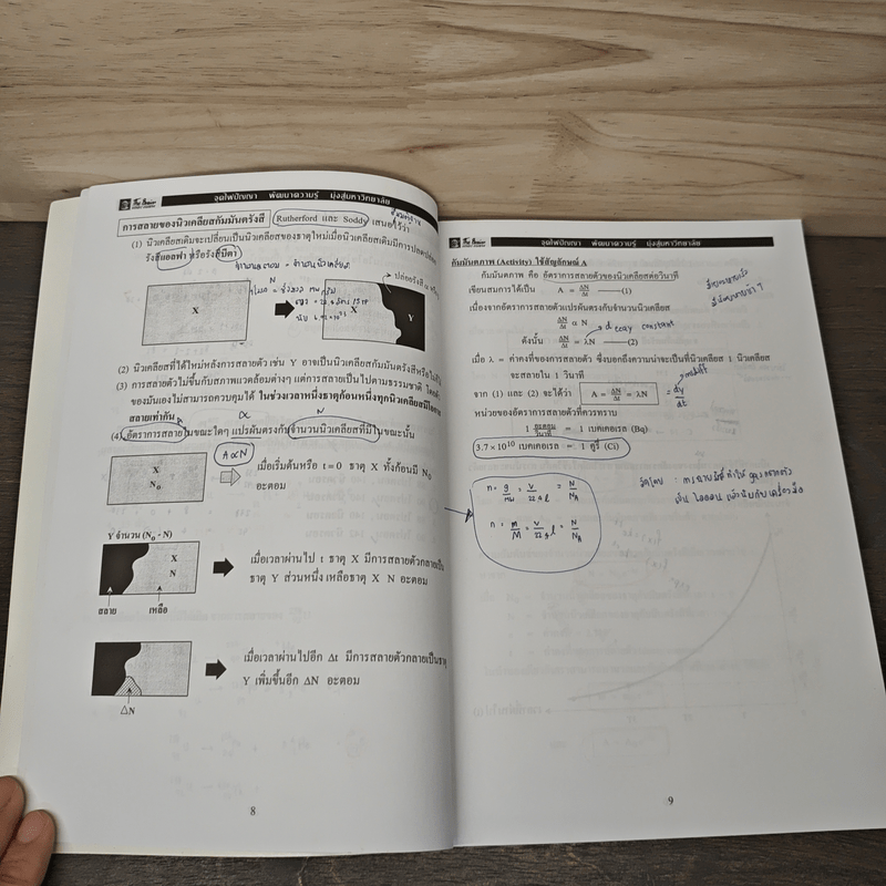 The Brain Nuclear Physics - The Brain's Physics team