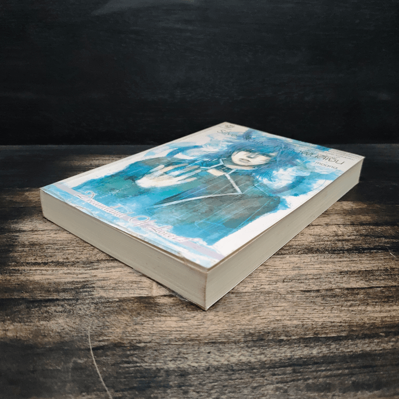 Silver Rain หยาดฝนสีเงิน - moana