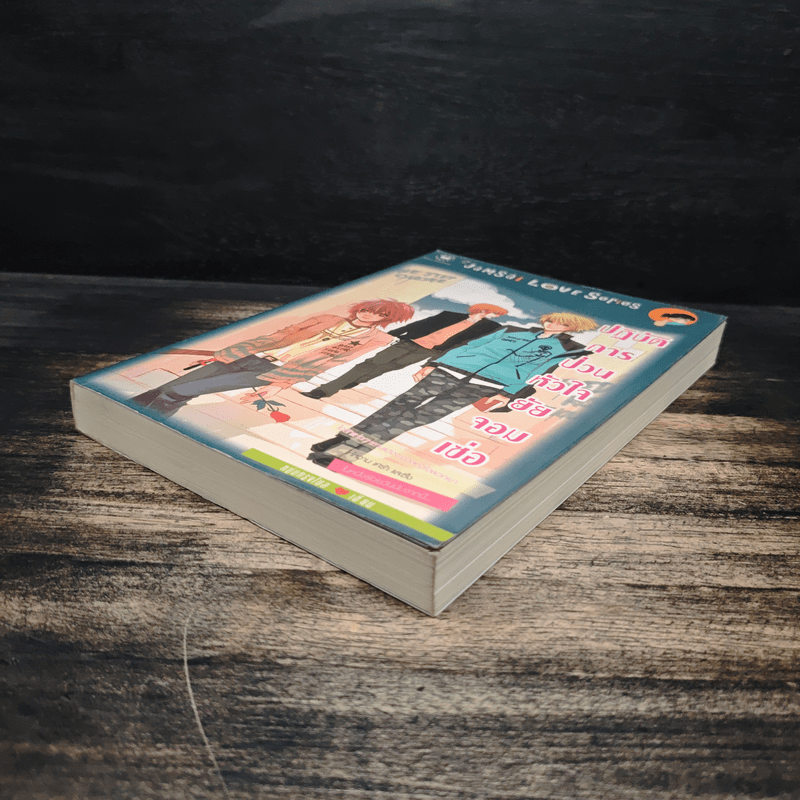 ปฏิบัติการป่วนหัวใจยัยจอมเซ่อ - หนุ่มกรุงโซล