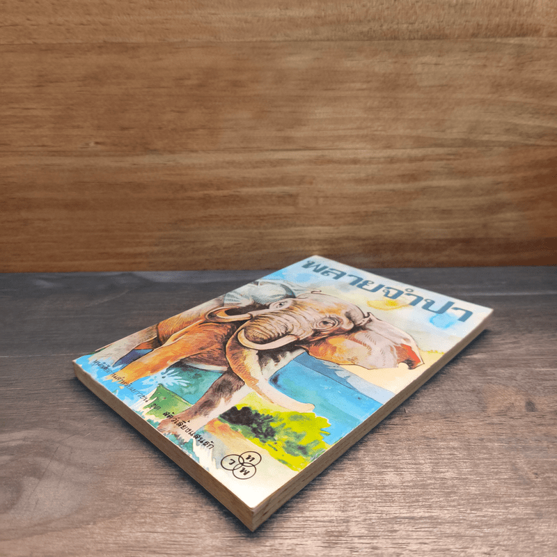 พลายจำปา - ลมุล รัตตากร