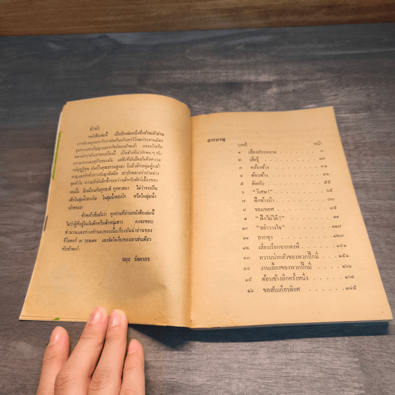 พลายจำปา - ลมุล รัตตากร