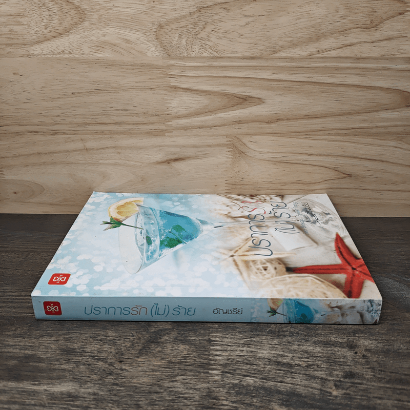 ปราการรัก(ไม่)ร้าย - อัญชรีย์