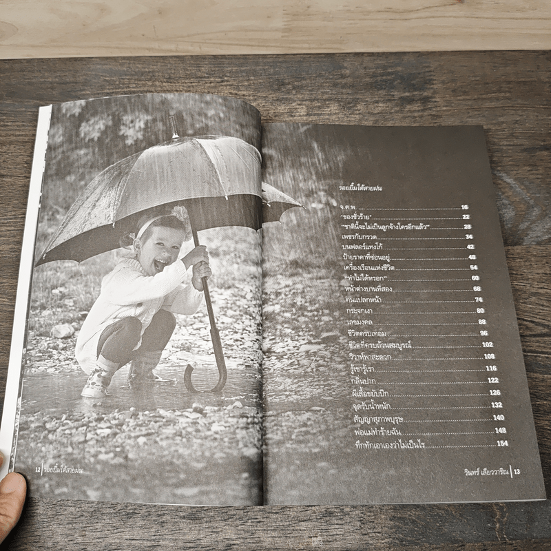 รอยยิ้มใต้สายฝน - วินทร์ เลียววาริณ