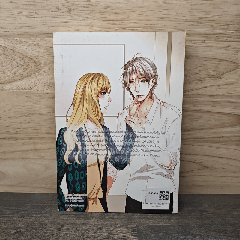 Foxy Pilot เจ้าหญิงจอมแสบแอบชิงหัวใจนักบินขี้เบื่อ - เจ้าหญิงผู้เลอโฉม