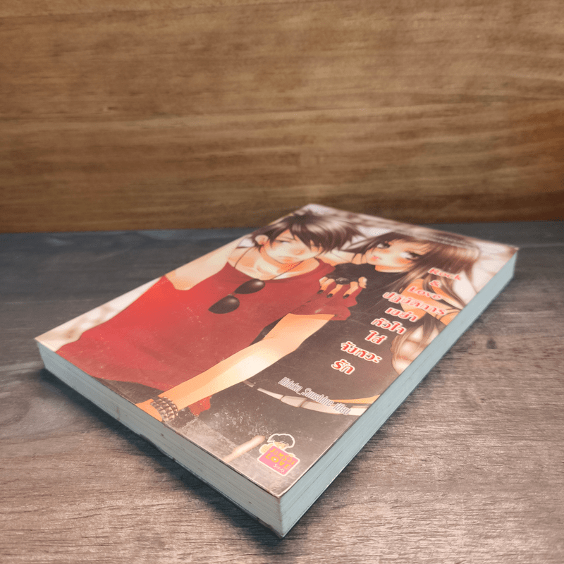 Rock&Love ปฏิบัติการเขย่าหัวใจใส่จังหวะรัก - Hideko_Sunshine