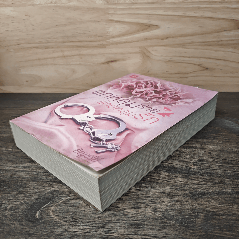 ตกหลุมร้าย พ่ายหลุมรัก - อัญชรีย์