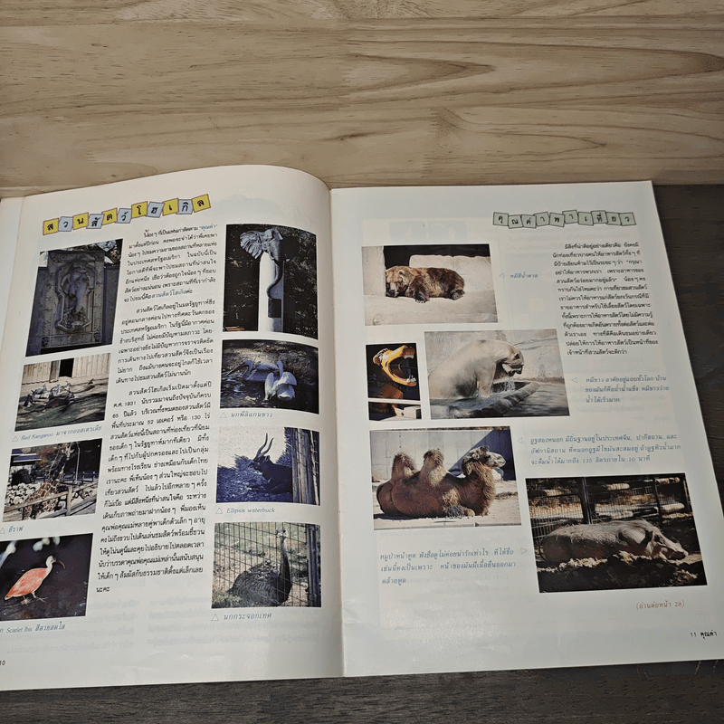 นิตยสารคุณค่า สำหรับเด็ก ปีที่ 9 ฉบับที่ 2