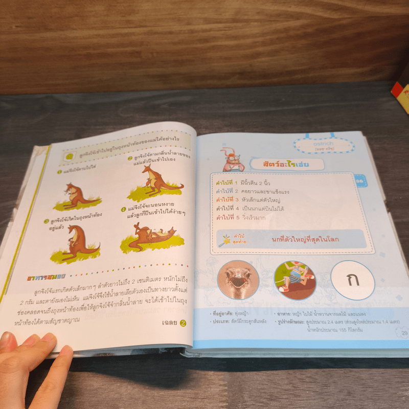 ชุด สารานุกรมภาพ สัตว์โลกน่ารู้