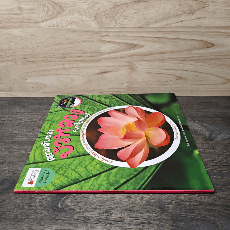 ความลับของบัวหลวงที่เราไม่เคยรู้